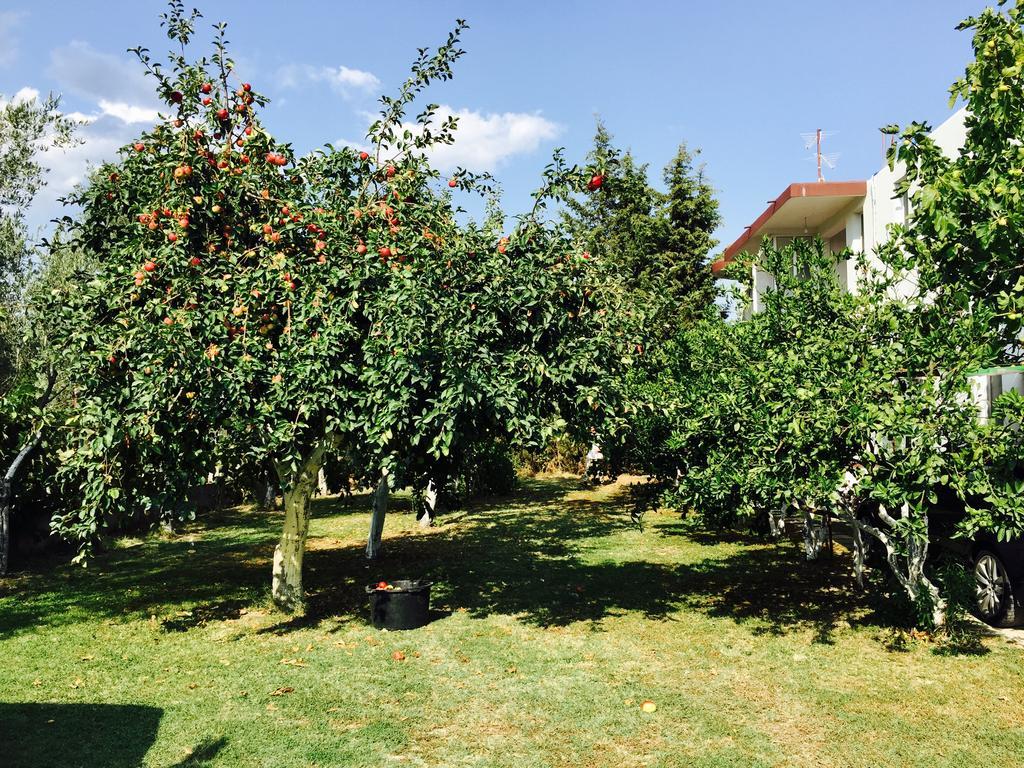 Apartments Flamingo Ulcinj Kültér fotó